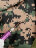 Рюкзак Rotekors Gear 7552 60л Digital Woodland